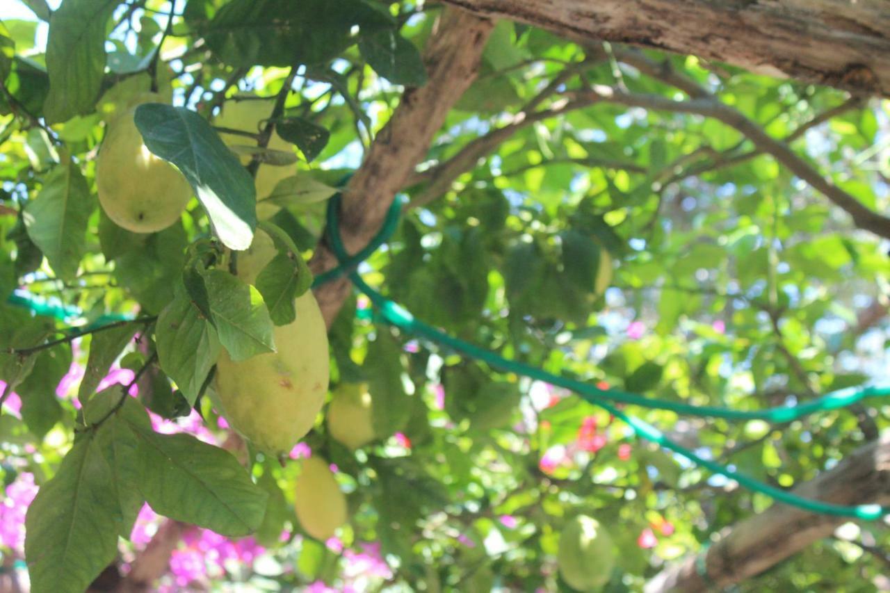 아말피 카사 에르모사 B&B 외부 사진